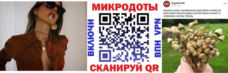 Галлюциногенные грибы GOLDEN TEACHER Осинники