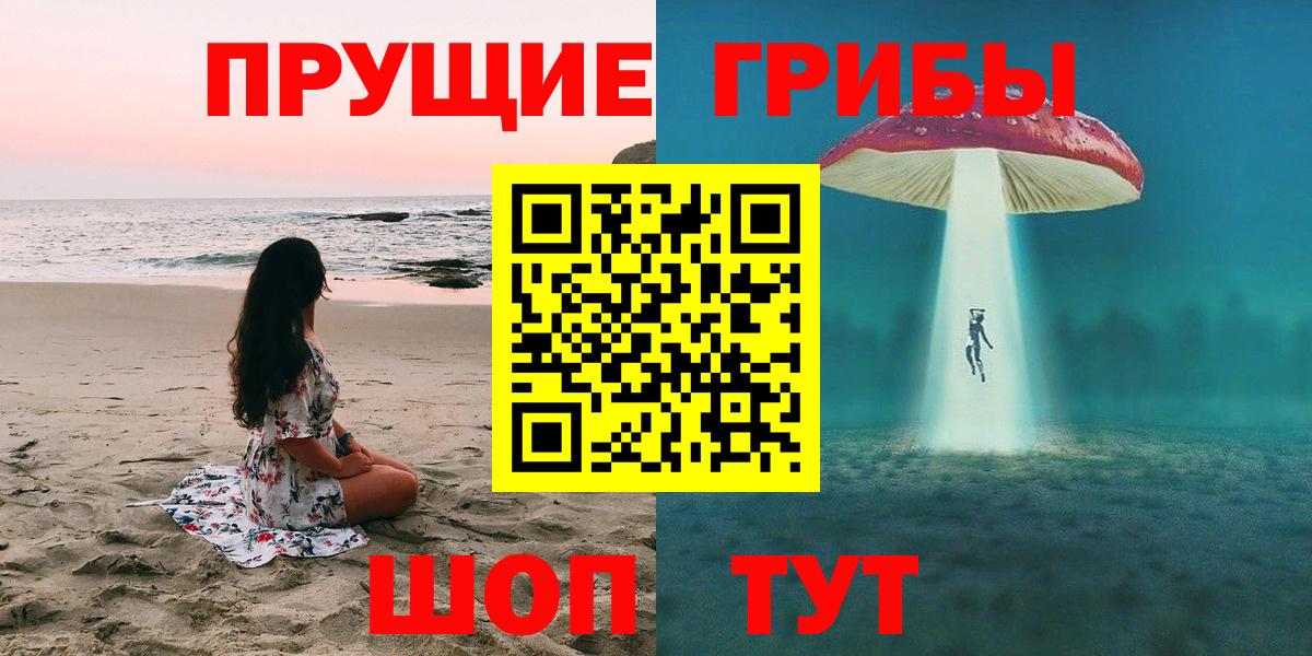 Осинники  закладки  Вход с VPN  Псилоцибиновые грибы Psilocybe 